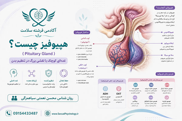 هیپوفیز هیپوفیز