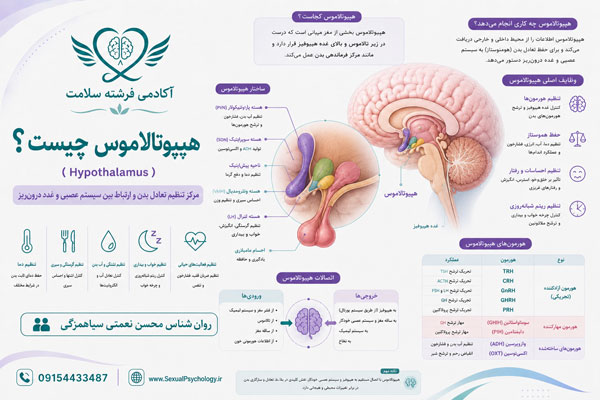 هیپوتالاموس (Hypothalamus) هیپوتالاموس (Hypothalamus)