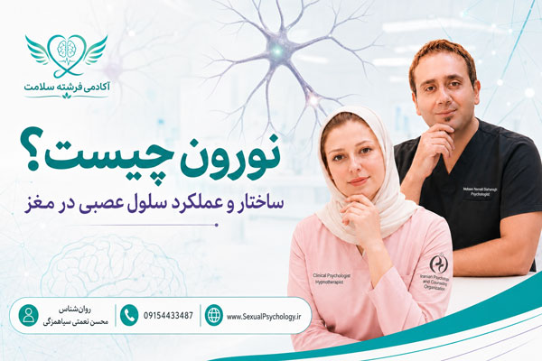 ساختار نورون شامل جسم سلولی، دندریت، آکسون و پایانه‌های عصبی