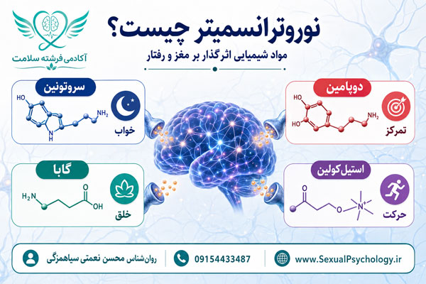 نوروترانسمیتر یا انتقالدهنده عصبی چیست؟ انتقالدهنده عصبی و آزادسازی نوروترانسمیترها در سیناپس میان نورونها